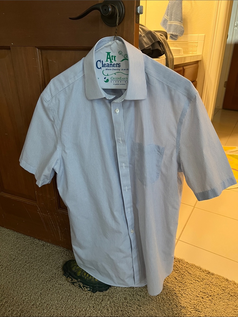Charles Tyrwhitt Blue and White Pinstripe Short-Sleeve Button-Down Shirt